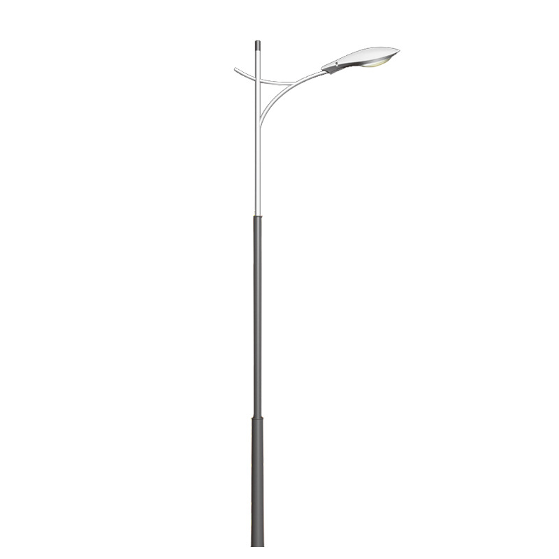 China Outdoor 5m 6m 7m 8m 9m 10m Solar Street Light Lamp Pole Cast