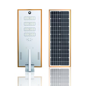 Economic 30W 60W 80W 100W 120W 150W Integrated All in one solar street light